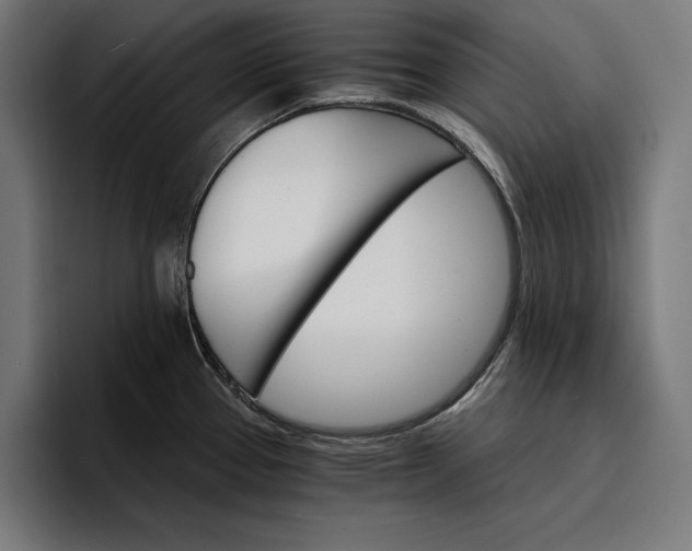 X0000096691337200802191420