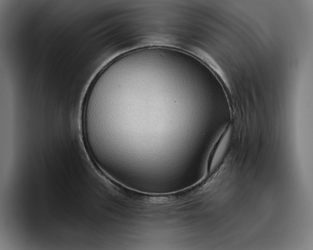 X0000096691339200802191420