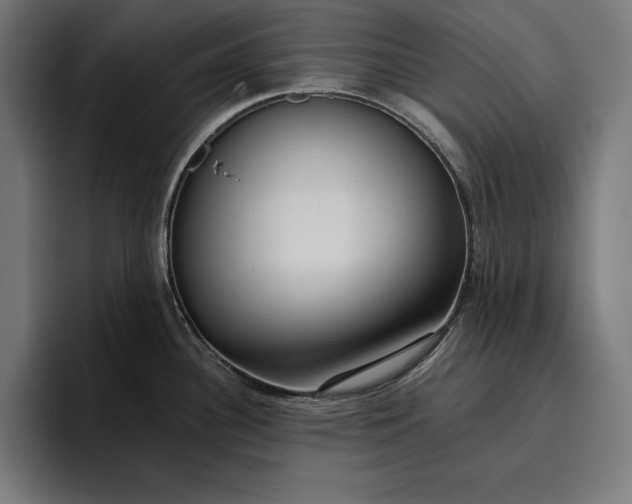 X0000096691340200802191420