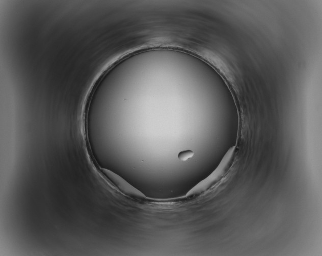 X0000096691342200802191420