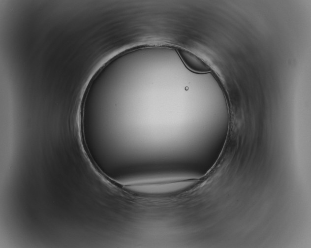 X0000096691343200802191420