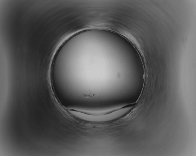 X0000096691344200802191420