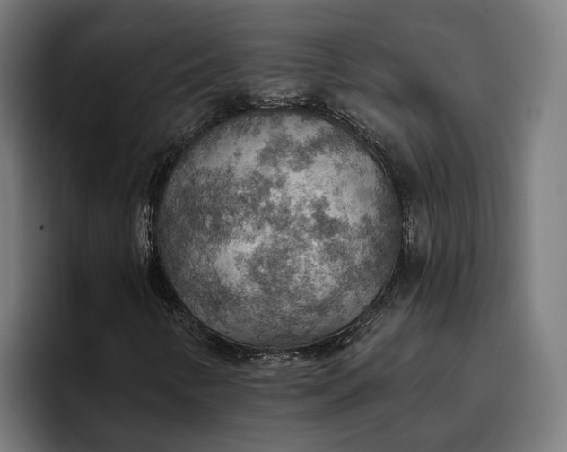 X0000096691346200802191420