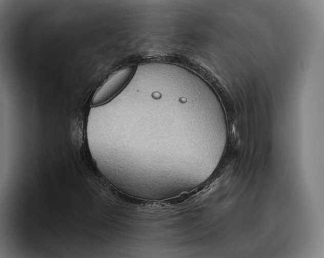 X0000096691348200802191420