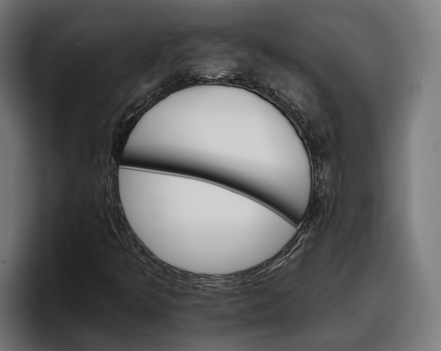 X0000096691349200802191420