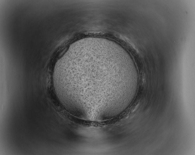 X0000096691350200802191419