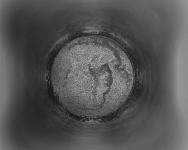 X0000096691351200802191419