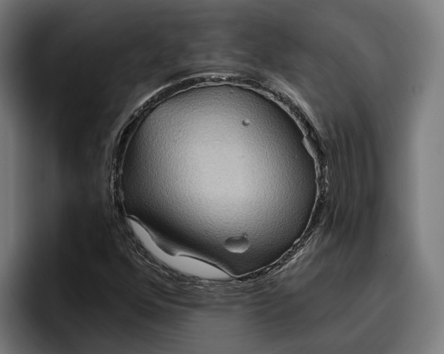 X0000096691352200802191419