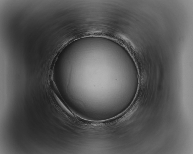 X0000096691353200802191419