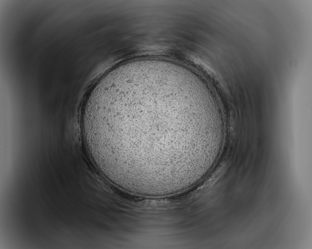 X0000096691354200802191419