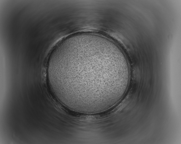 X0000096691355200802191419