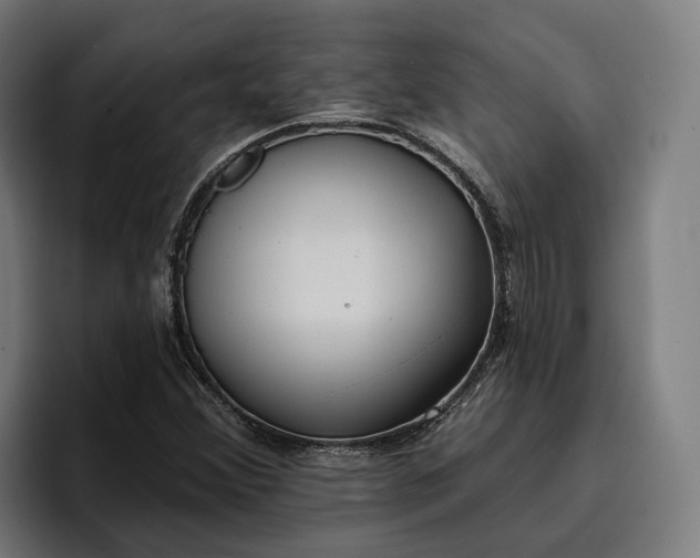 X0000096691356200802191419