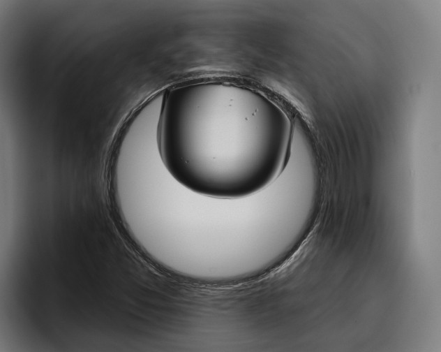 X0000096691357200802191419