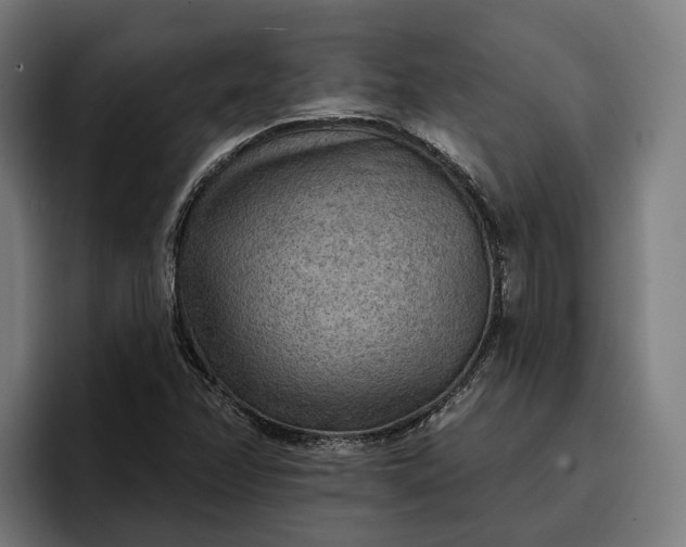 X0000096691358200802191419