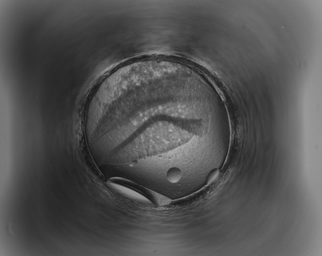 X0000096691359200802191419