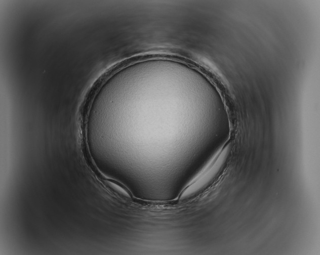 X0000096691360200802191419