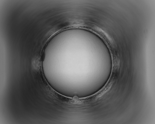 X0000096691361200802191419