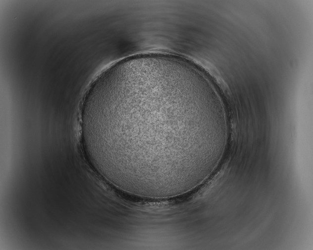 X0000096691363200802191419