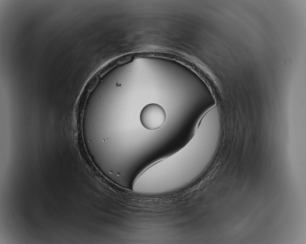 X0000096691364200802191419