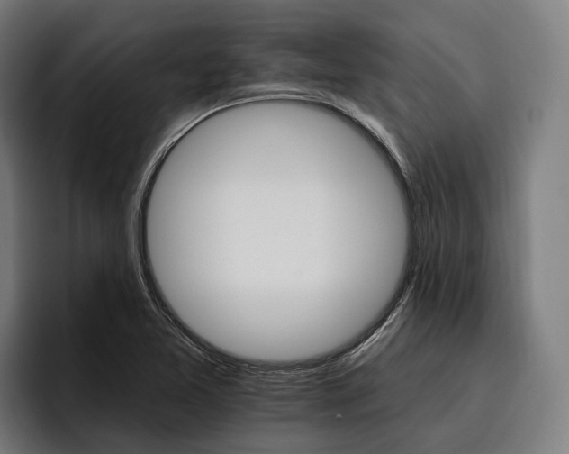 X0000096691365200802191419