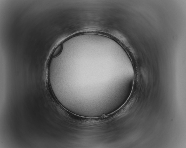 X0000096691366200802191419