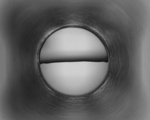 X0000096691367200802191419