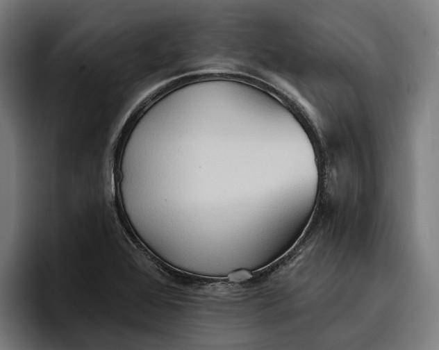 X0000096691368200802191419