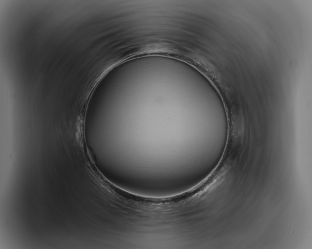 X0000096691369200802191419