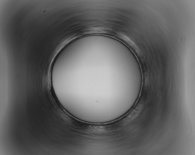 X0000096691370200802191419