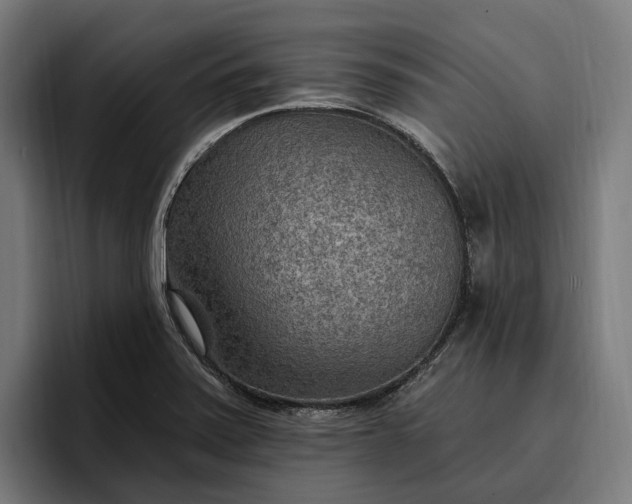 X0000096691371200802191419