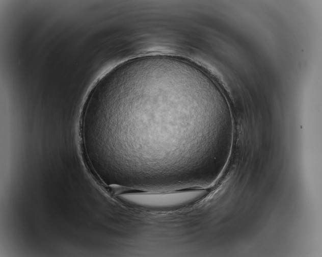 X0000096691373200802191419