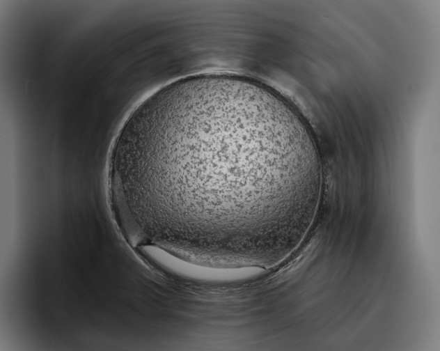 X0000096691375200802191419