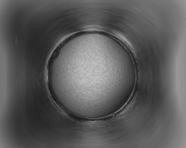 X0000096691376200802191419