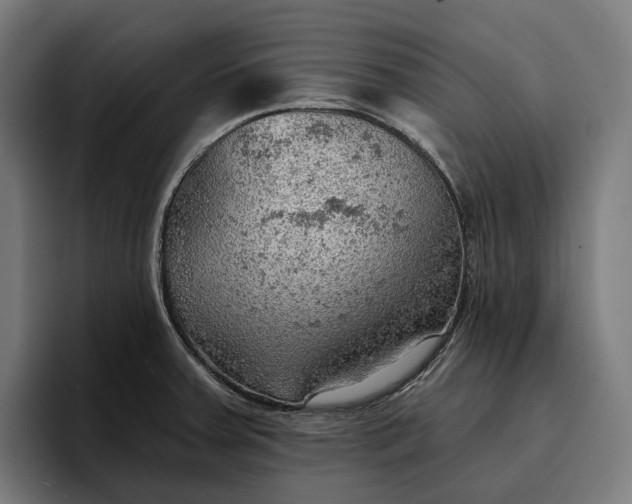 X0000096691379200802191419