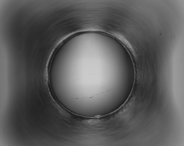 X0000096691380200802191419