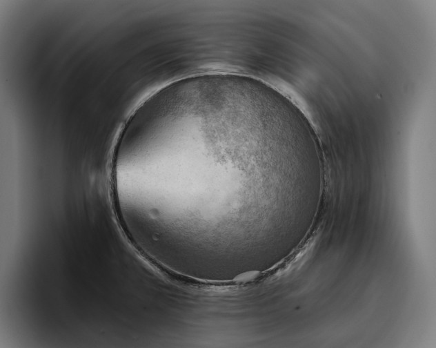 X0000096691381200802191419