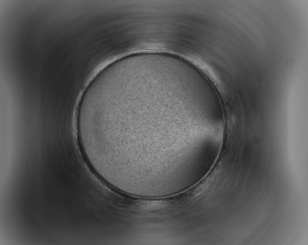 X0000096691382200802191419