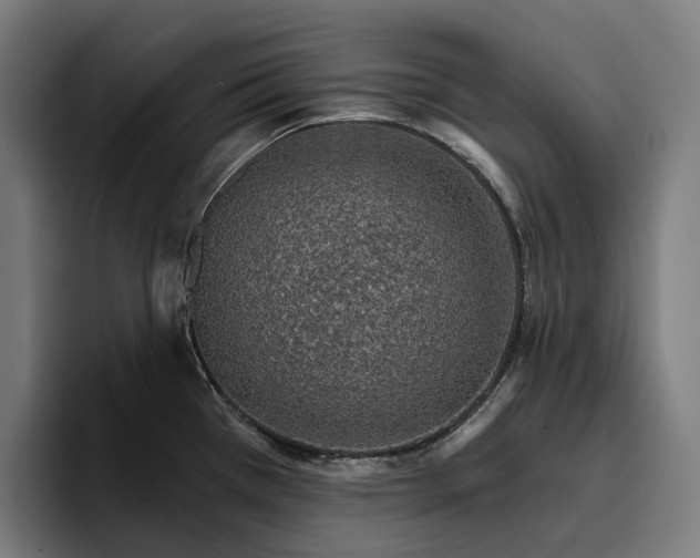 X0000096691385200802191419