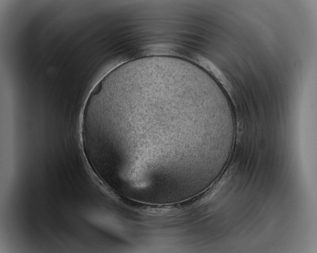 X0000096691386200802191419