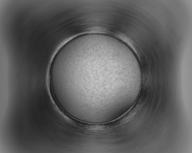 X0000096691387200802191419