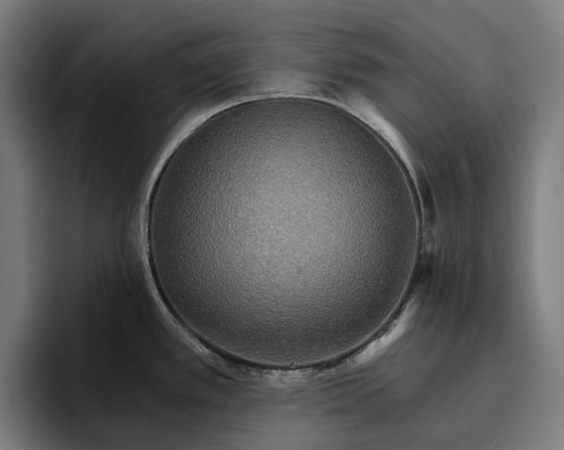 X0000096691389200802191419