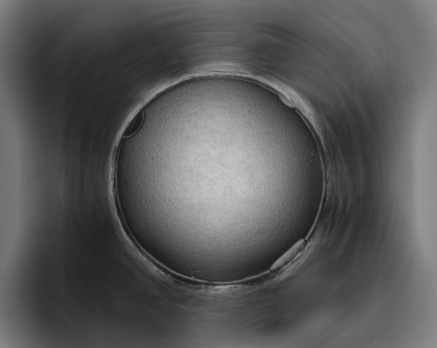 X0000096691390200802191419