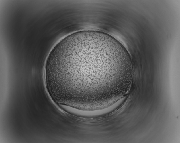 X0000096691391200802191419