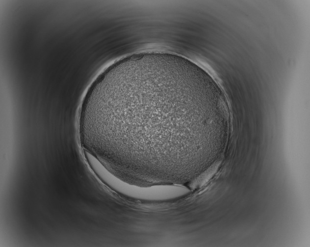 X0000096691392200802191419