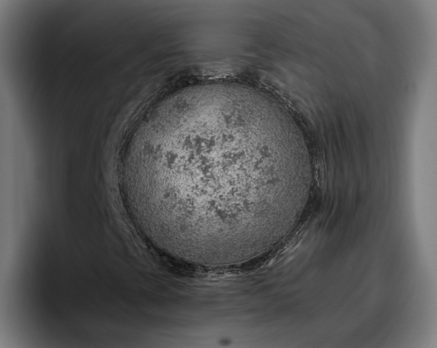 X0000096691393200802191418