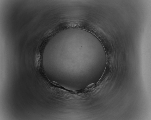 X0000096691394200802191418