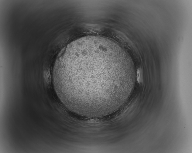 X0000096691395200802191418