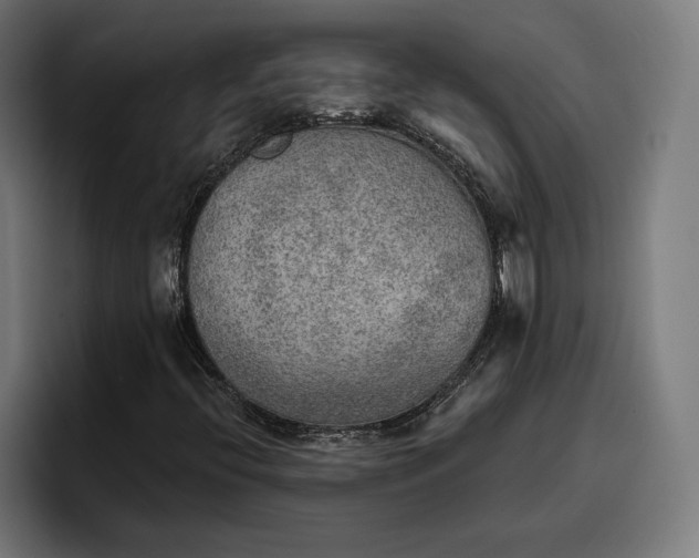 X0000096691396200802191418