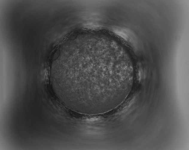 X0000096691397200802191418