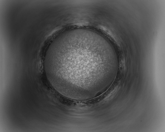 X0000096691398200802191418